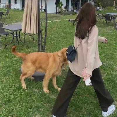 碧血蓝勋